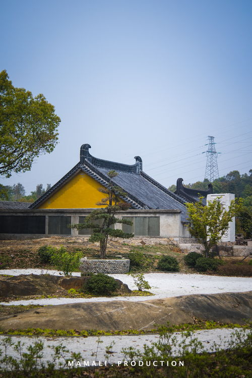 溫州雖然不大,但是佛緣不淺,龍脈所在的寺廟值得一去