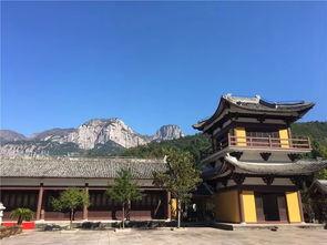 10月2號,3號粉黛亂子草,筋竹澗古道穿越徒步,遇見最美花海,觀看吳橋雜技表演 一日游 雁蕩