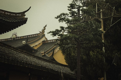 原來你是這樣的溫州|四天三夜溫州自駕全攻略