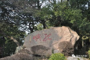 溫州記憶行第二季 2019夏令營將于暑假舉行,名師名家?guī)闾綄ぐ茁钩? class=