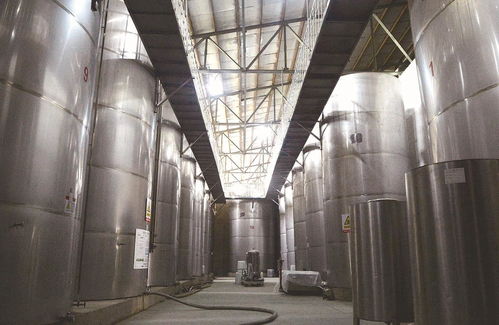 觀雞寺下的千年煙火