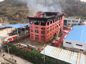 視頻 漫天大火 溫州一化工廠發生火災,黑煙滾滾