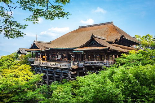 潮人旅行家 京都 大阪 的味道 參加完潮人國旅這個產品,客人驚呼 到樂