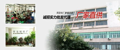 男裝 溫州市甌海梧田尊龍服裝加工廠