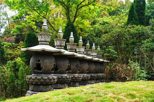 人間四月芳菲時,慢行溫州,4天三晚實用攻略,遇見一場江南花事