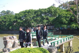 溫州江心寺專輯 第3頁