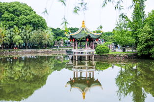 浙江的 橘子洲 ,是中國(guó)四大名嶼,門票僅30元