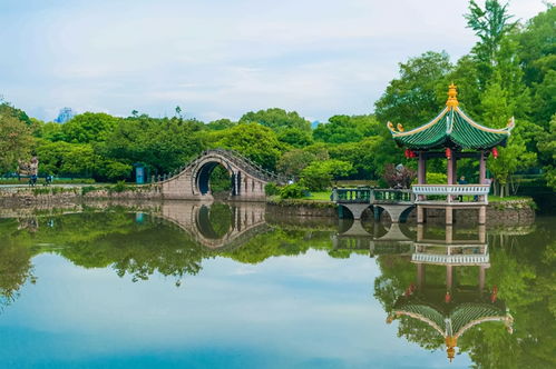 溫州隱藏在鬧市中的美景,歷代文人墨客都對(duì)此贊嘆不已,你想去嗎