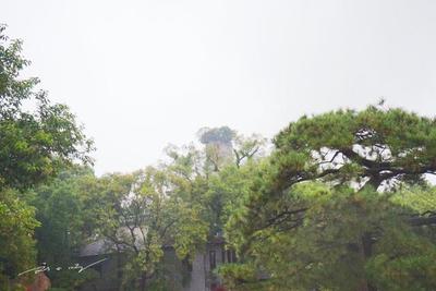 實拍溫州江心嶼,與廈門鼓浪嶼齊名,為何卻游客稀少、門庭冷清?