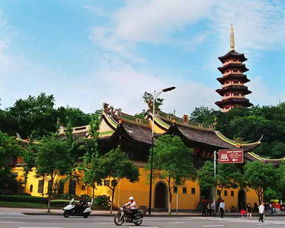 離開溫州的理由千萬種,但愛上卻只需一種