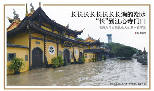 800多年前,江心嶼曾遭遇溫州史上最慘水災 t它都渡了哪些臺風劫