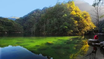 1350 世界火山奇觀,夜游中華名山 溫州 雁蕩山 楠溪江動車3日游