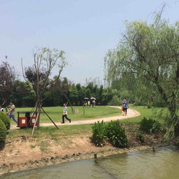 2019江心嶼門票,溫州江心嶼游玩攻略,江心嶼游覽攻略路線 地址 門票價格