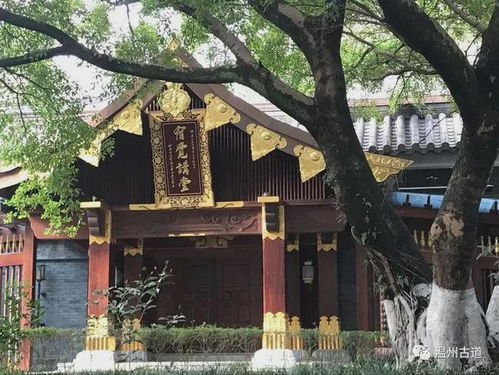 尋蹤松臺(tái)山 溫州江心寺——尋找記憶里的溫州之四