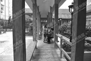 溫州海歸成年輕院長(zhǎng) 把打火機(jī)廠改成養(yǎng)老院 溫州江心寺