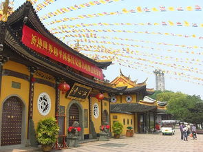 還在轉(zhuǎn)發(fā)楊超越？寧波及周邊最靈寺廟，杭州靈隱寺、溫州江心寺都在這里！